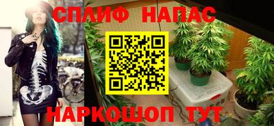 хмурый Малгобек