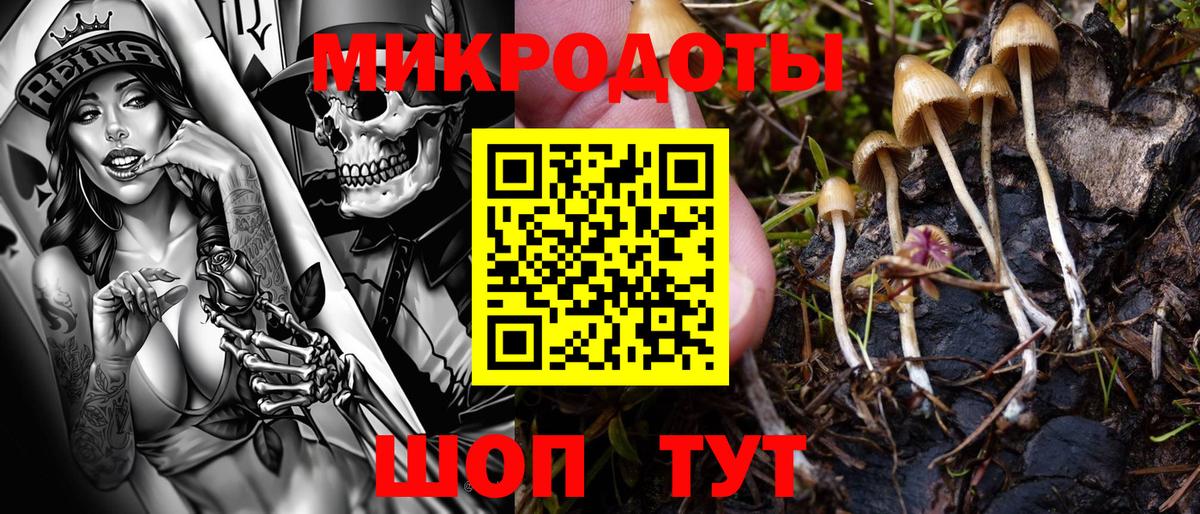 Галлюциногенные грибы MAGIC MUSHROOMS  Вход с VPN  Углич  Псилоцибиновые грибы Psilocybine cubensis 